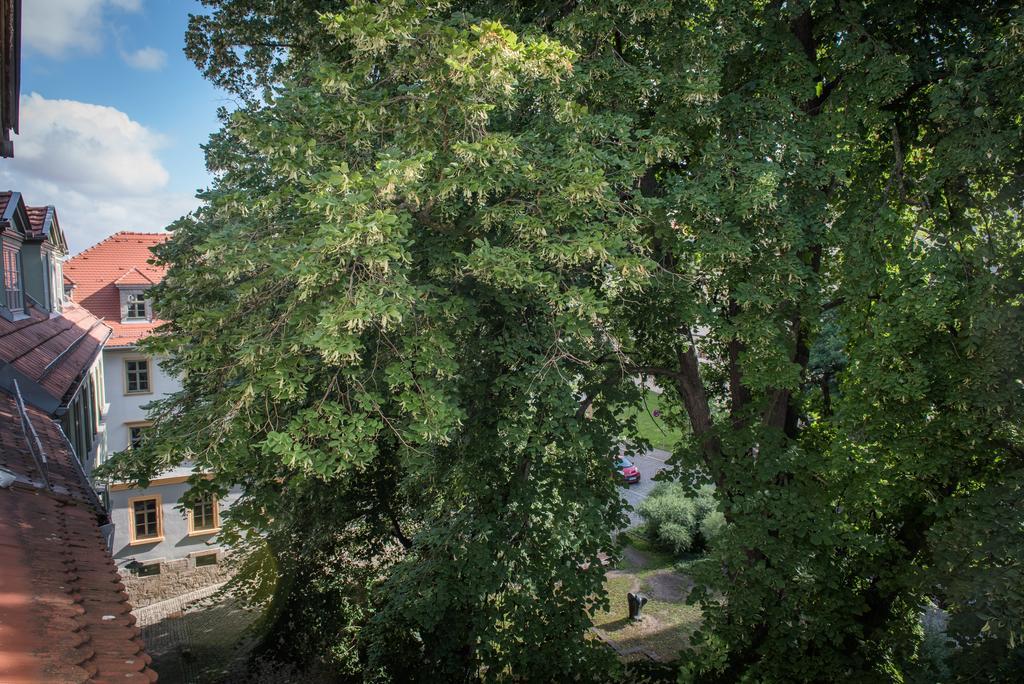 "Goethezimmer" Ferienwohnung Und Zimmer Am Burgplatz ไวมาร์ ภายนอก รูปภาพ